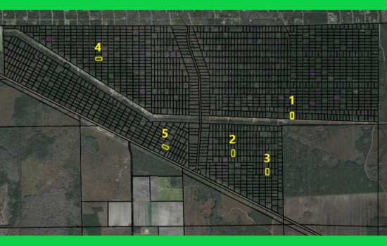 Four Investment Lots in Flagler Estates