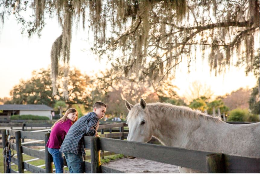 Marion County is the "Horse Capital of the World"