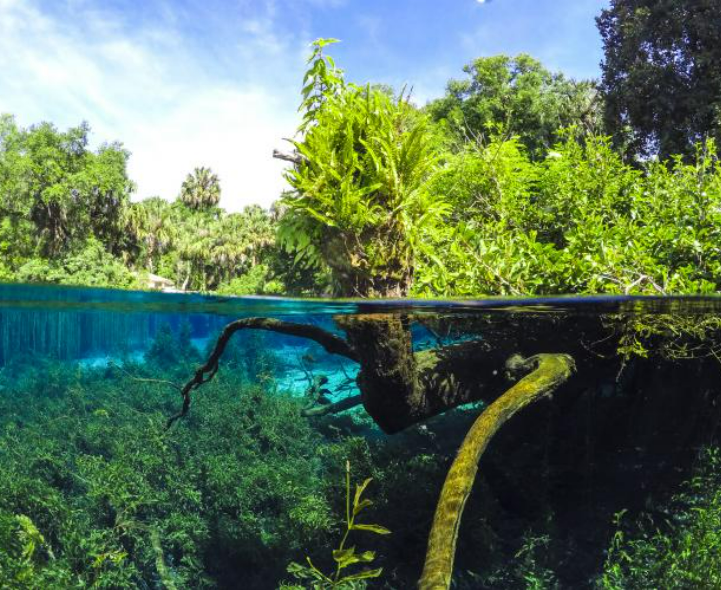 Rainbow Springs State Park