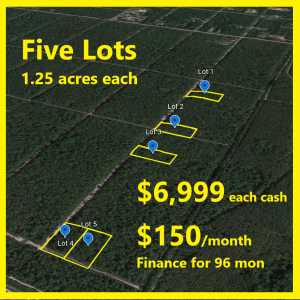 Five Investment Lots in Flagler Estates