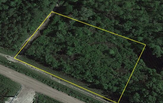 1.63 Acre Corner Lot in Flagler Estates