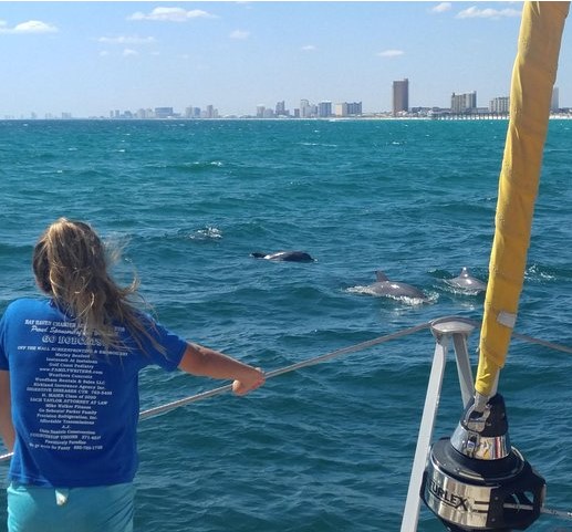 Dolphin viewing is a local favorite.