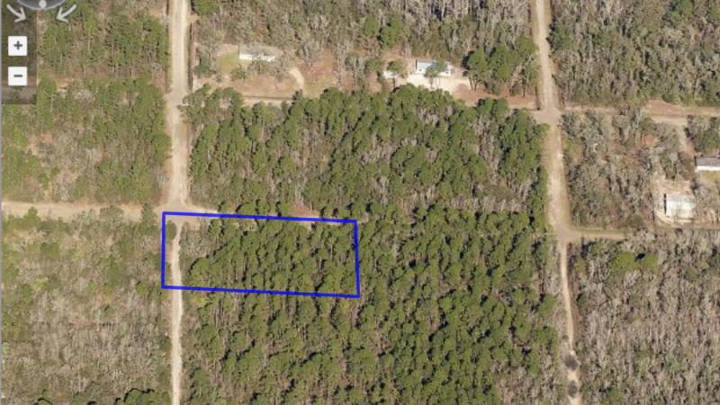 Flagler Estates Lot