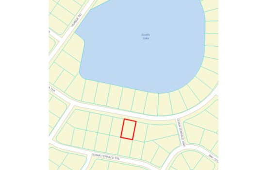 .23 Acre Lot in Silver Springs Shores