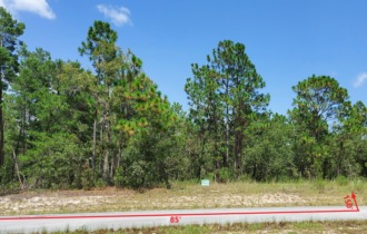 Street View of Lot