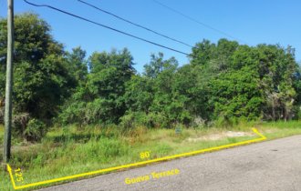 Street View of Guava Terrace Lot.