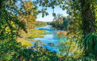 Ocala National Forest