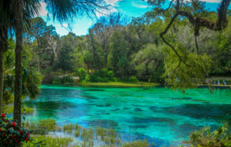 Rainbow Springs State Park