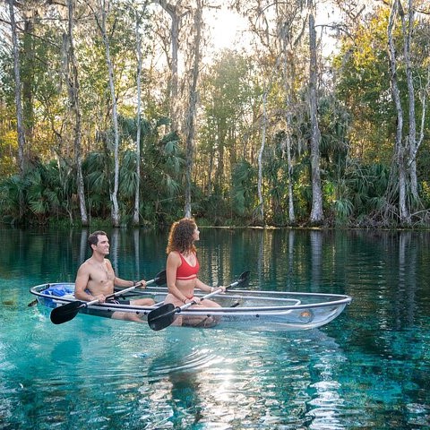 See-through kayaking at Silver Springs State Park.